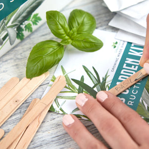 HERB GARDEN KIT