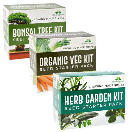 URBAN SPROUT TRIO - BONSAI TREE KIT, ORGANIC VEG KIT, HERB GARDEN KIT BUNDLE