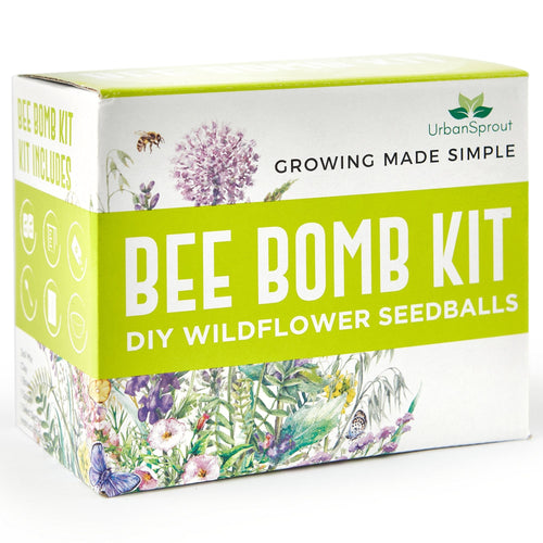 BEE BOMB KIT