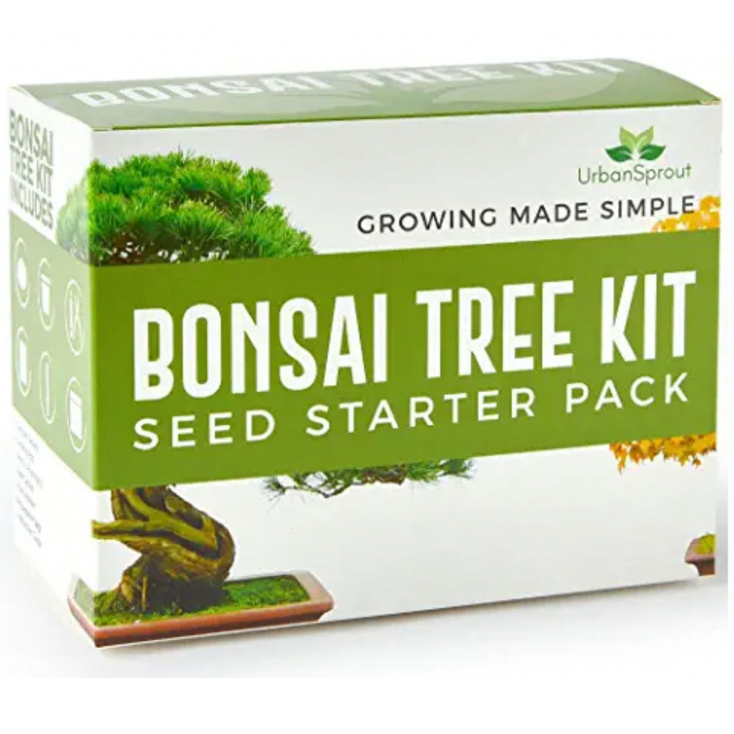 bonsai tree kit urban outfitters BONSAI TREE STARTER KIT – Urban Sprout Store