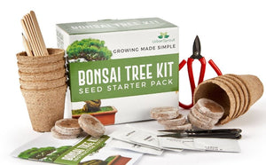 BONSAI TREE STARTER KIT – Urban Sprout Store