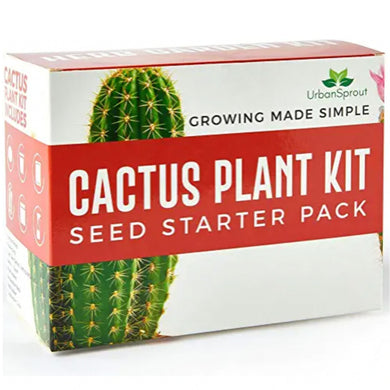 CACTUS PLANT KIT